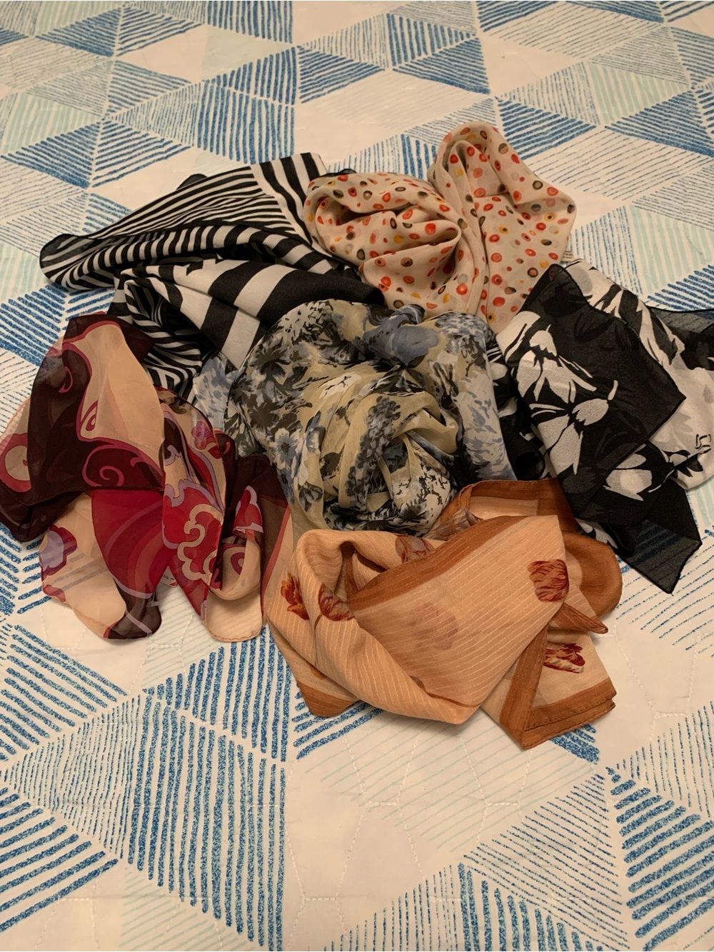 Assorted Women's Fashion Scarves & Wraps - Multi Color Set